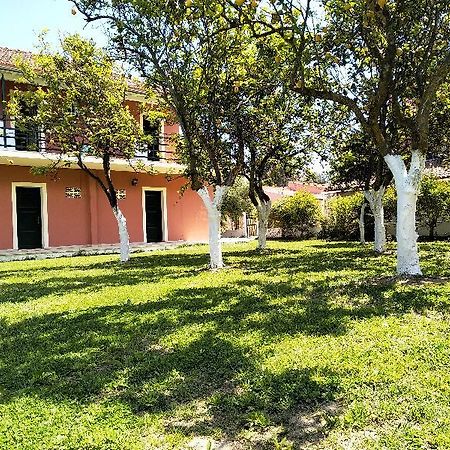 Ever Green Kavos Ngoại thất bức ảnh
