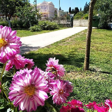 Ever Green Kavos Ngoại thất bức ảnh