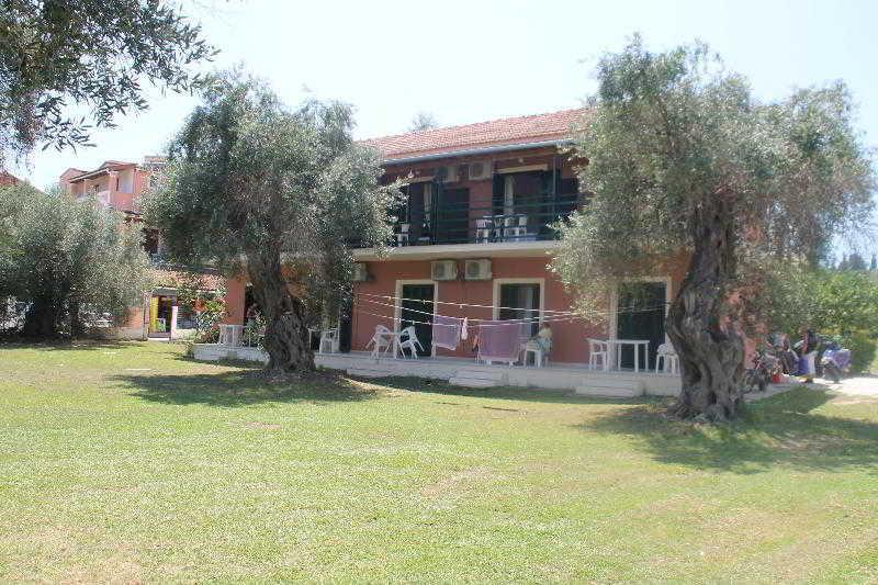 Ever Green Kavos Ngoại thất bức ảnh